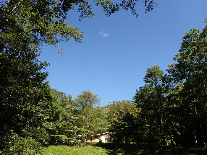 c0064025_15505042.jpg