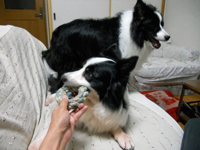 d0059230_2113217.jpg