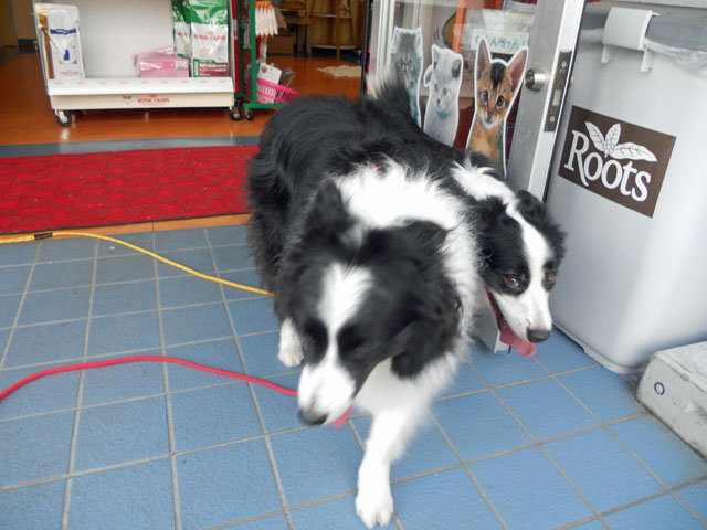 d0059230_83933.jpg