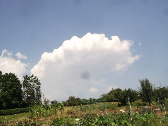 b0137932_21515554.jpg