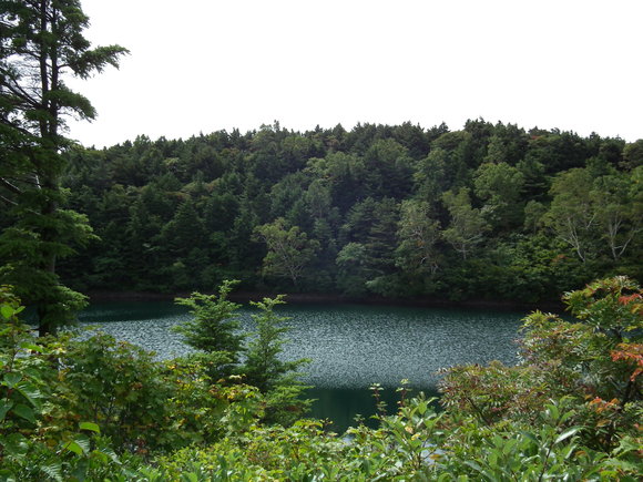f0118332_22244597.jpg