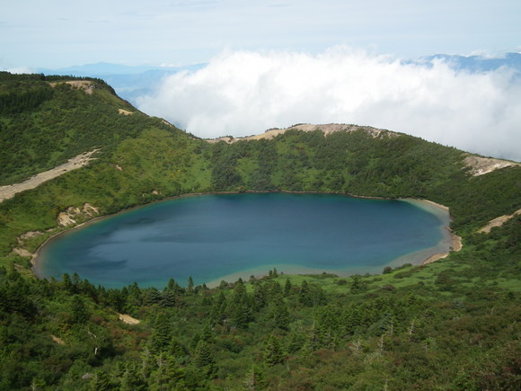 f0118332_2322170.jpg