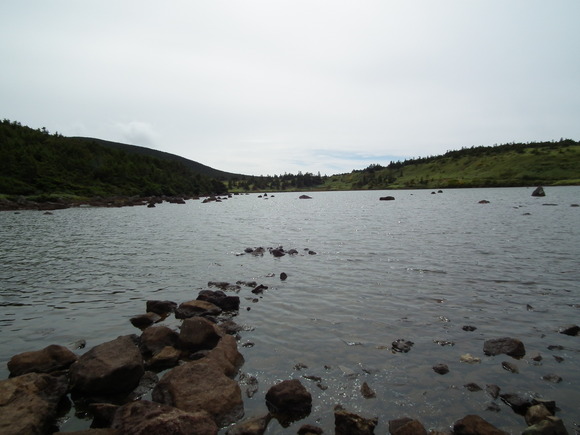 f0118332_23262150.jpg