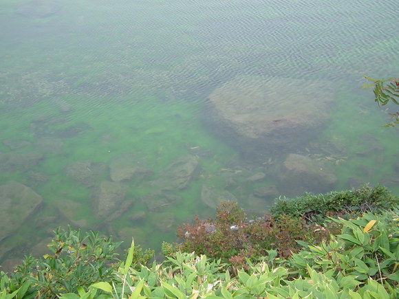 f0118332_23263422.jpg