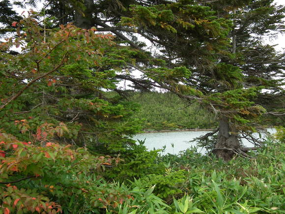 f0118332_23265339.jpg