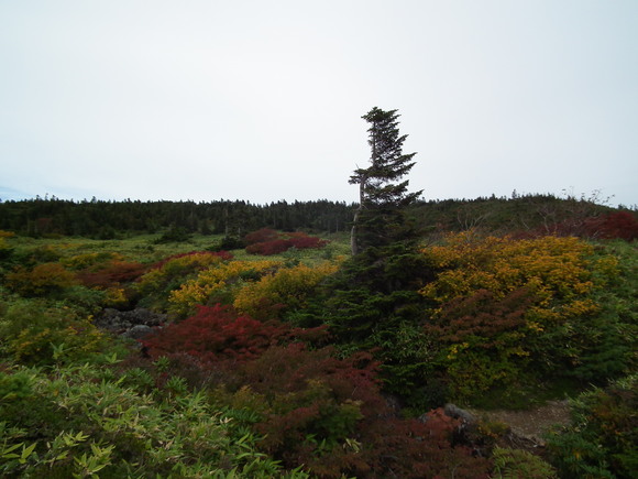 f0118332_23273696.jpg