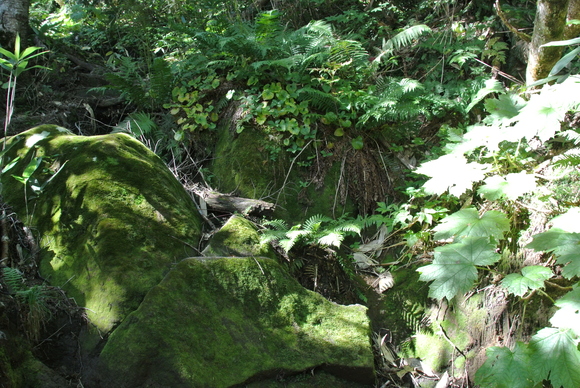 f0118332_23325174.jpg