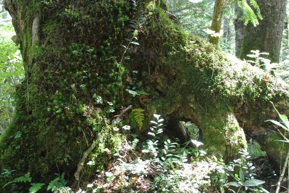 f0118332_23381530.jpg