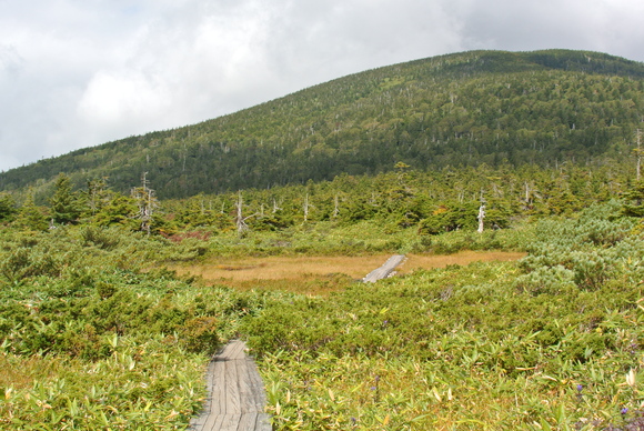 f0118332_23394460.jpg