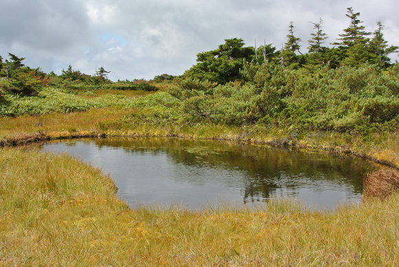 f0118332_23395681.jpg