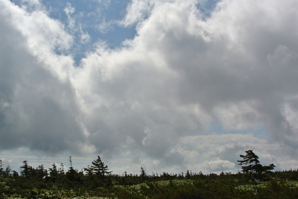 f0118332_23401386.jpg
