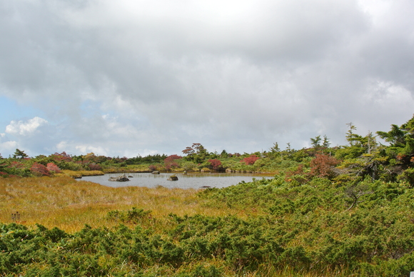 f0118332_23403532.jpg