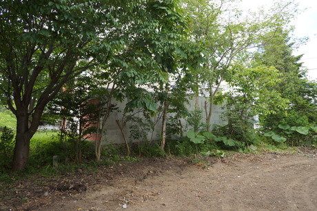 d0217833_9481531.jpg