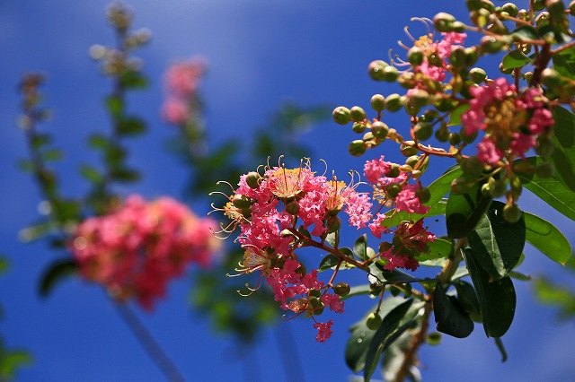 a0242438_19305266.jpg