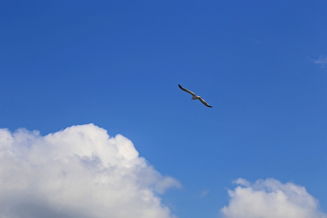a0242438_1936055.jpg