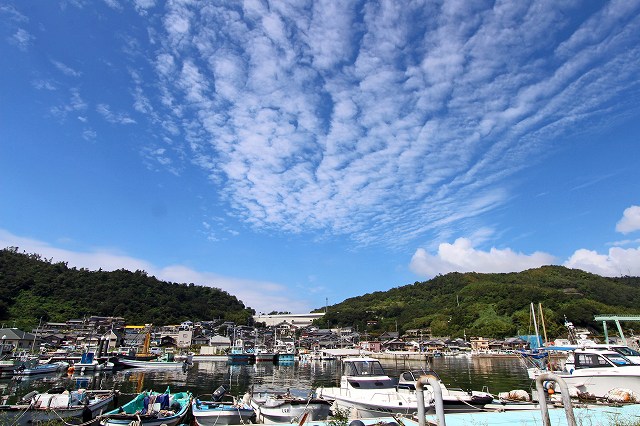 a0242438_1937921.jpg