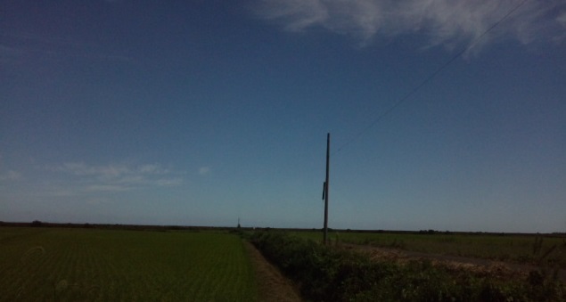d0244839_01125452.jpg