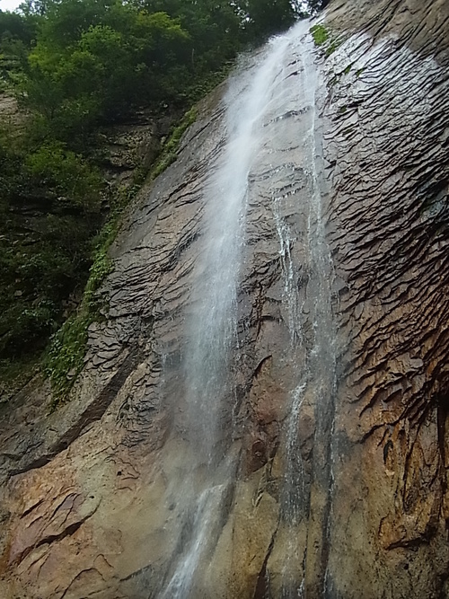 a0289641_20422246.jpg