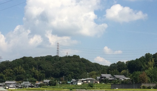 a0116442_12125474.jpg