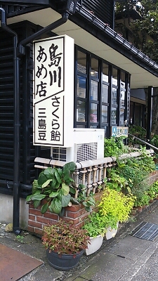 a0292043_11503272.jpg