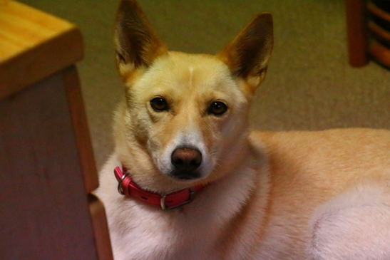 f0195543_22151860.jpg