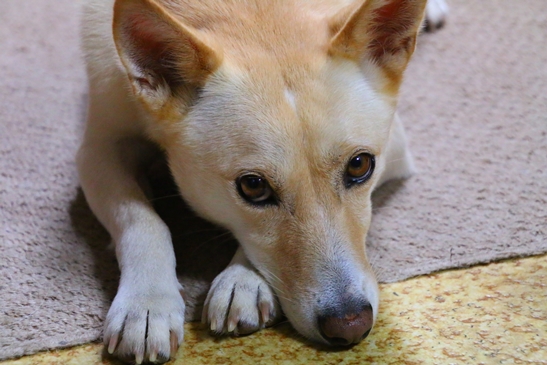 f0195543_2217910.jpg