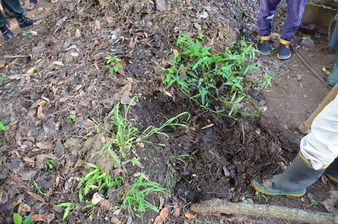e0020945_2220147.jpg