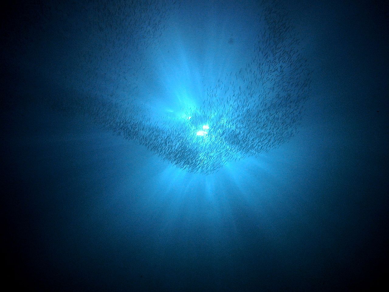 b0236647_0174482.jpg