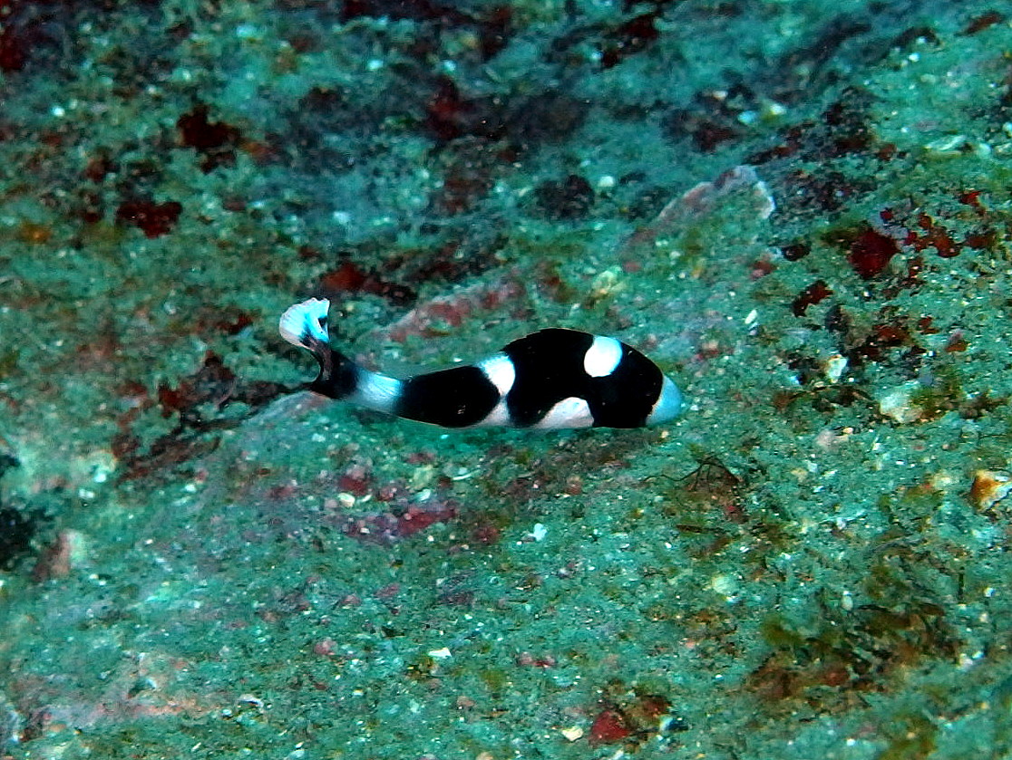 b0236647_020459.jpg