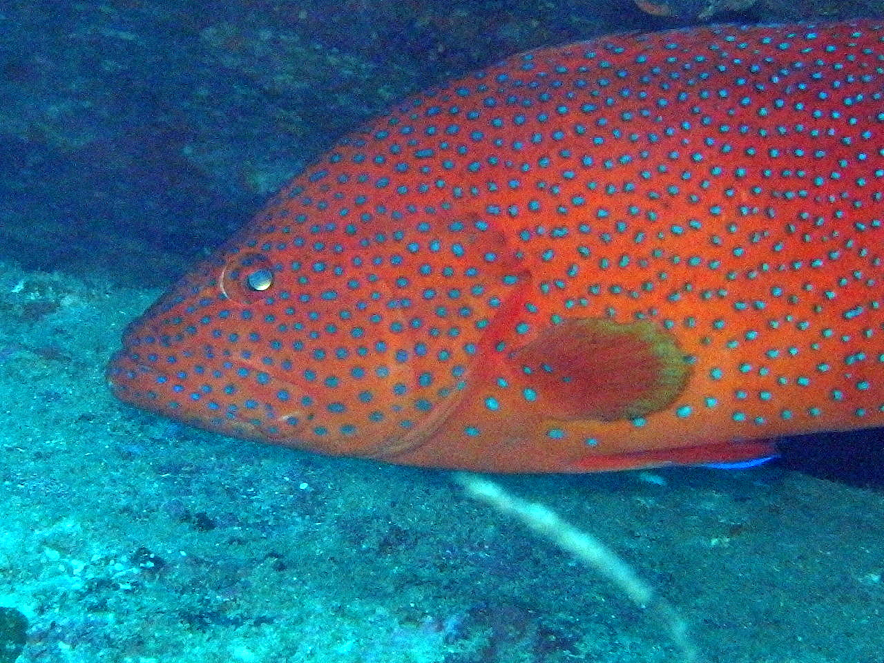 b0236647_0224949.jpg