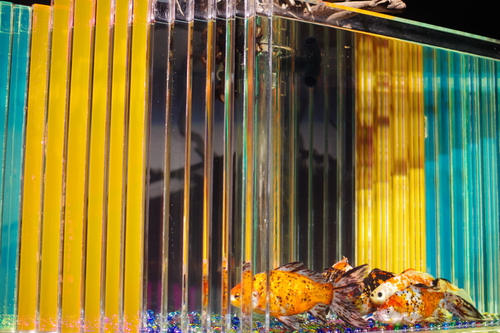 a0299749_20305443.jpg