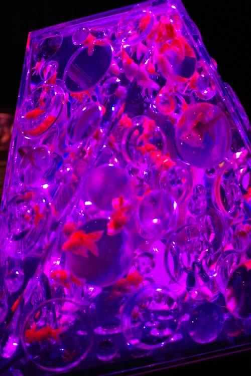 a0299749_20312959.jpg