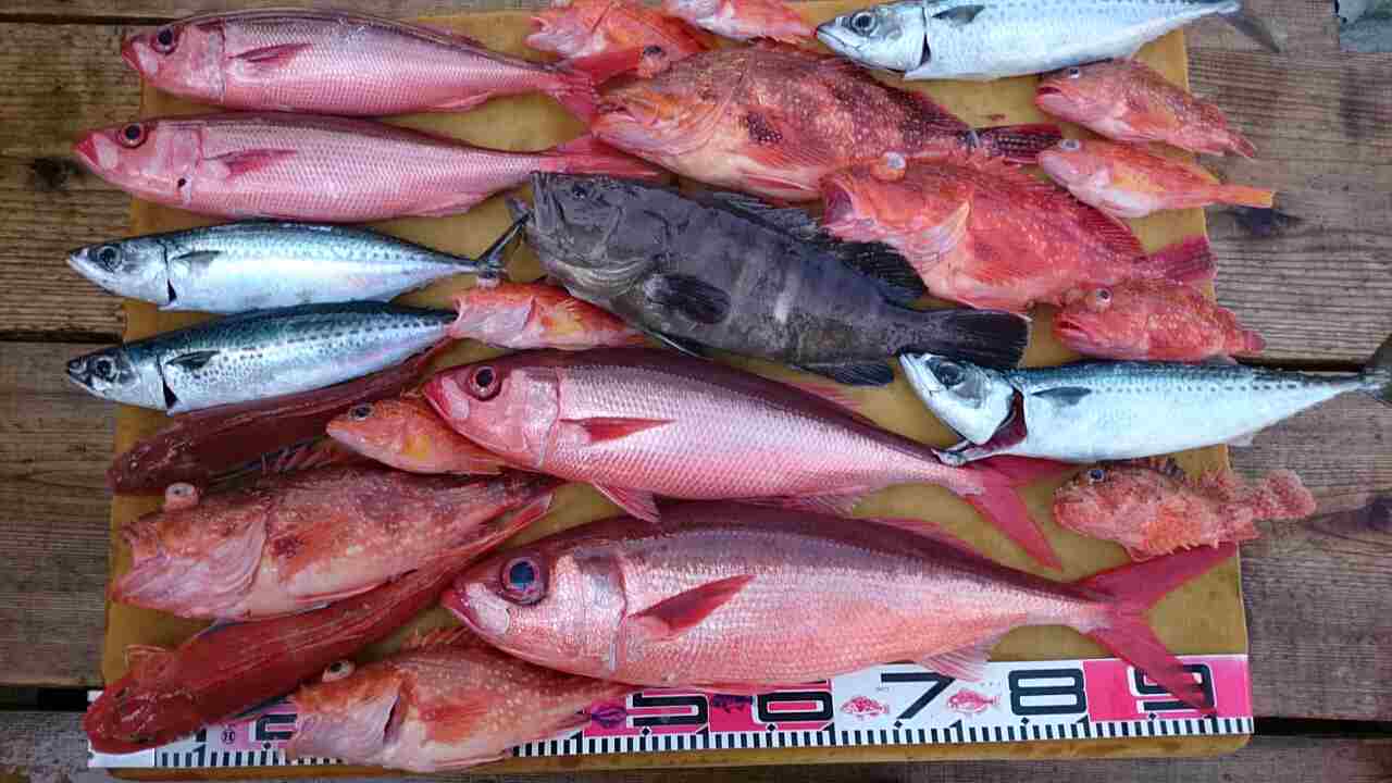 a0248152_17355433.jpg
