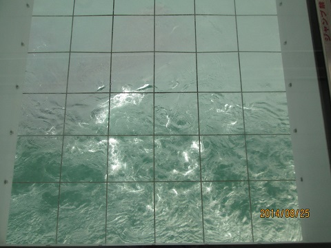 d0029363_217014.jpg