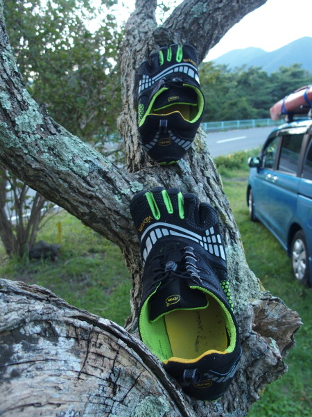 c0122670_23315410.jpg