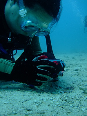 b0033573_16344515.jpg