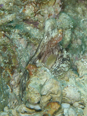 b0033573_16352831.jpg