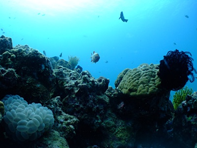 b0033573_16560210.jpg