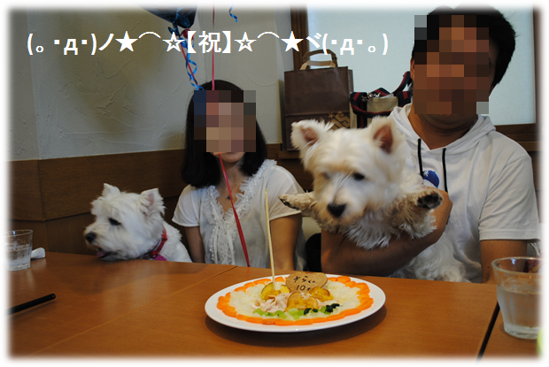 b0242873_01462257.png