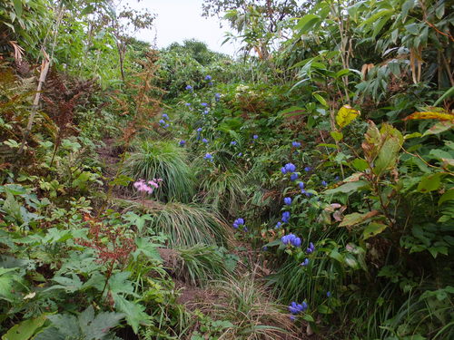 c0022275_10245830.jpg