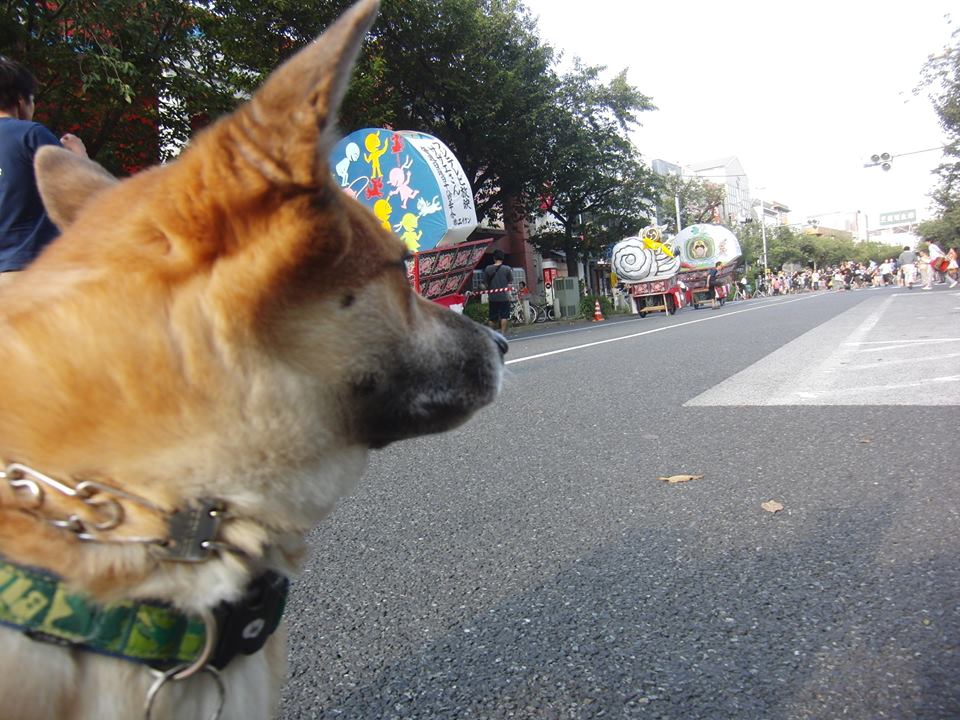 b0246876_22491705.jpg