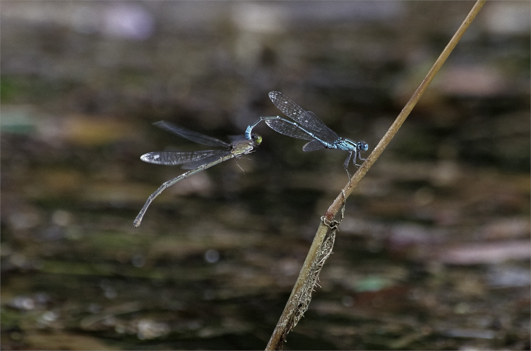 d0209988_21272450.jpg