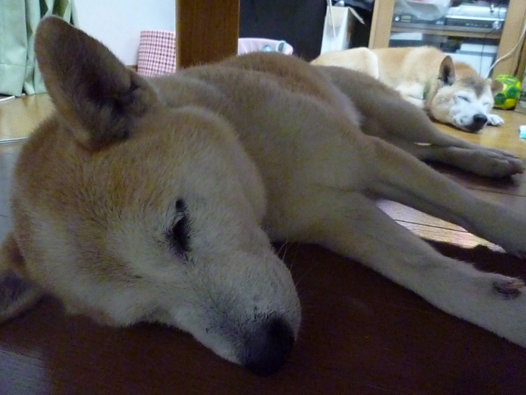 c0123890_20113980.jpg