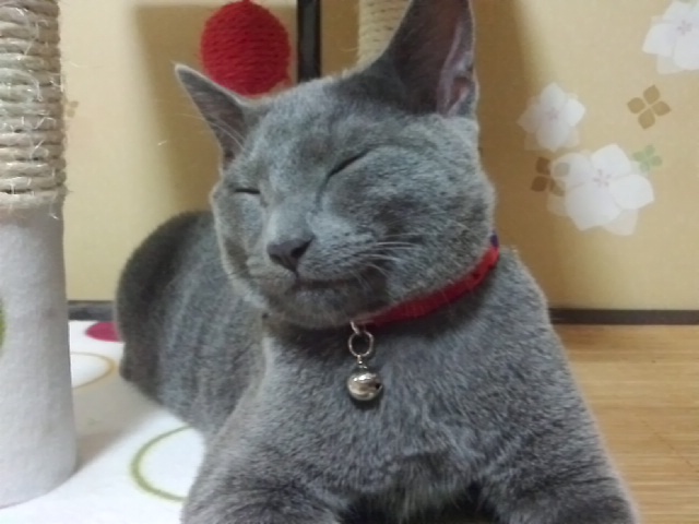 c0030291_23202326.jpg