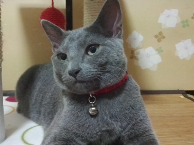 c0030291_23205330.jpg