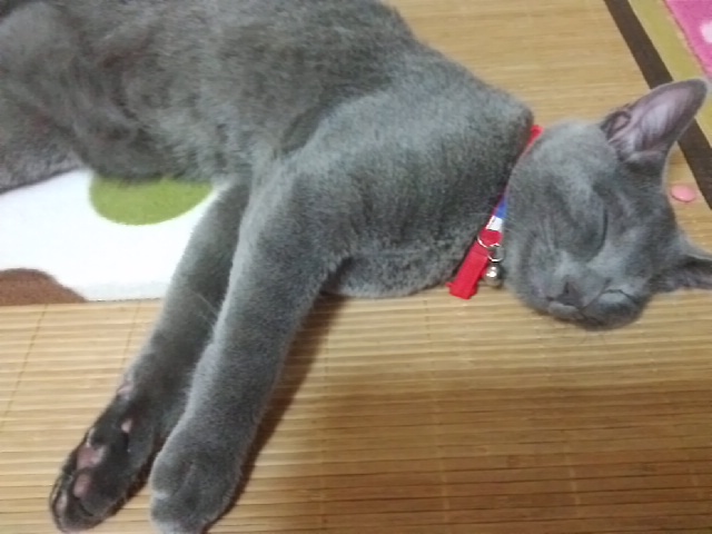 c0030291_23213269.jpg