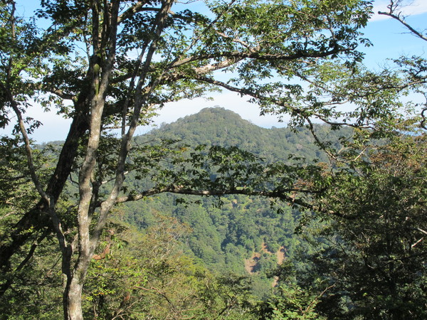 a0166196_2317491.jpg