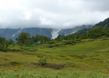 c0125996_16973.jpg