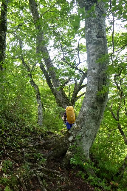 e0137200_0175958.jpg