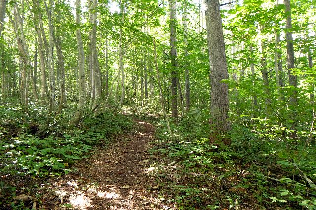 e0137200_017959.jpg